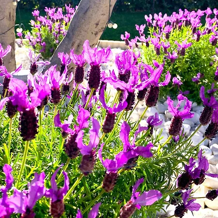 Nocleg ze śniadaniem D'hotes De Charme Merbleuesoleil