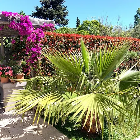 Bed & Breakfast D'hotes De Charme Merbleuesoleil *
